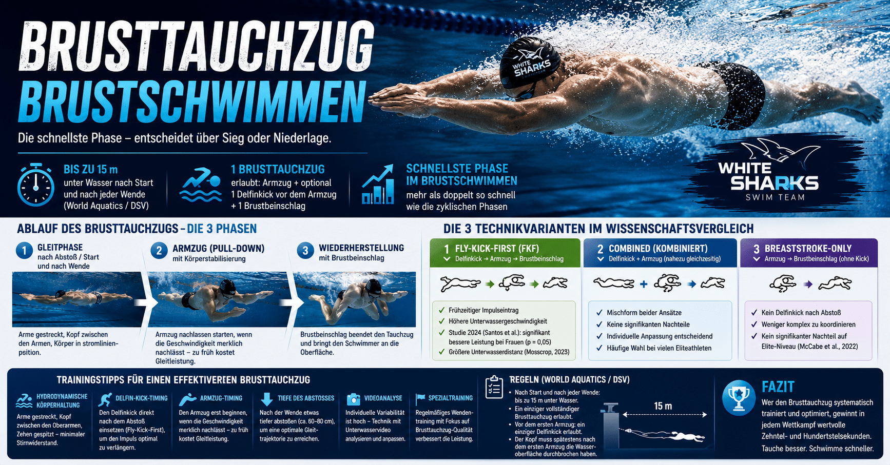 Brusttauchzug Brustschwimmen – Schwimmer in der Unterwasserphase beim White Sharks Training