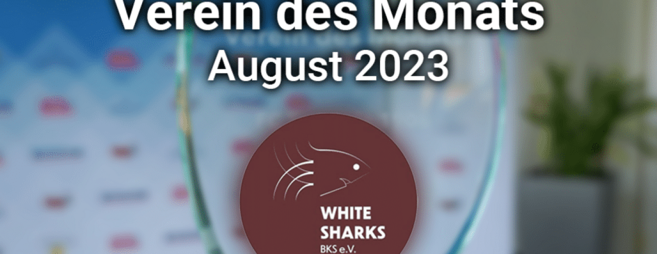 Verein des Monats August 2023 White Sharks BKS Auszeichnung