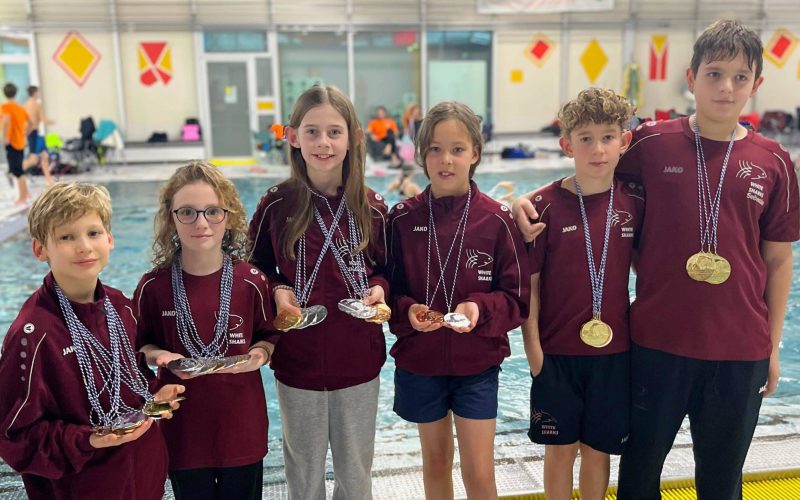 koblenzer weihnachtschwimmfest in koblenz