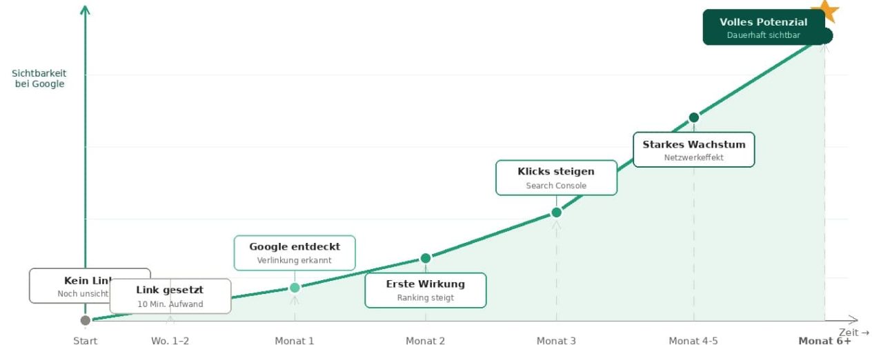 Schwimmverein digital vernetzen – Von null auf Sichtbarkeit mit dem WHITE Sharks Netzwerk 2026