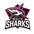 white-sharks-logo-2